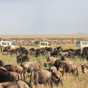 7-Day Serengeti & Ngorongoro Safari