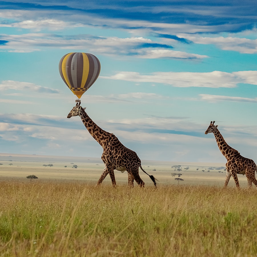 10-Day Grand Tanzania Safari