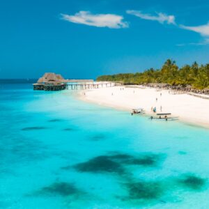 Tanzania Safari & Zanzibar Beach Holiday